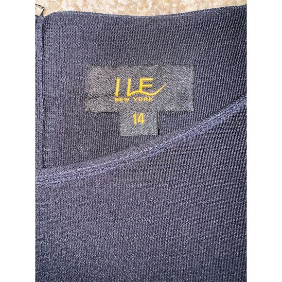 ILE New York Women's Striped Shift Dress Size 14 Multicolor 3/4 Sleeve - Picture 9 of 9